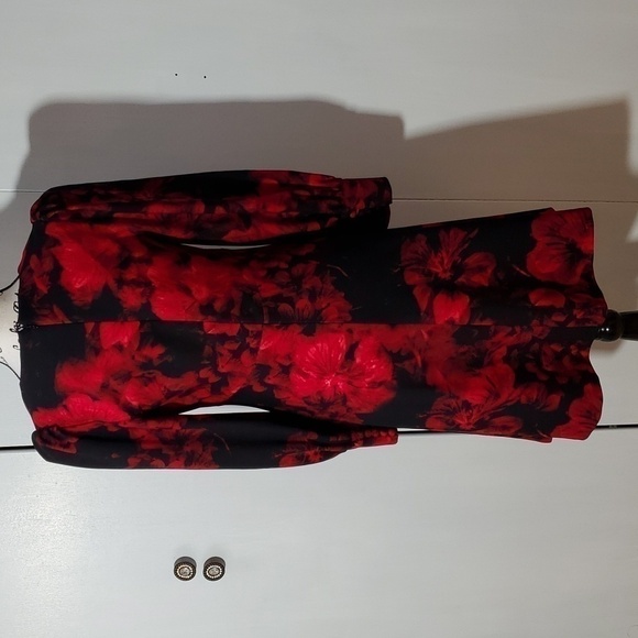 Calvin Klein- Womens Black/RED Floral puffed sleeves Dress Sz.4 - Picture 3 of 7
